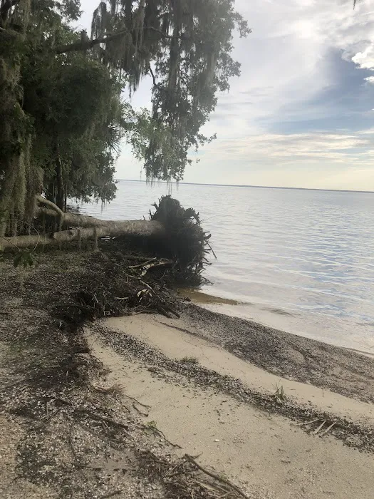 Lake George Barrs Hammock Campsite of St Johns River WMD Picture 8