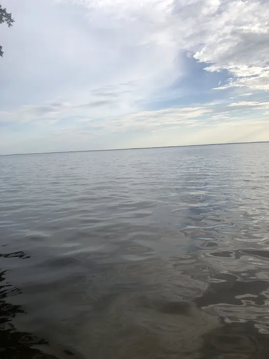 Lake George Barrs Hammock Campsite of St Johns River WMD Picture 7