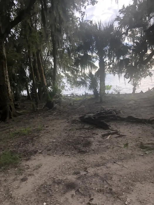 Lake George Barrs Hammock Campsite of St Johns River WMD Picture 9