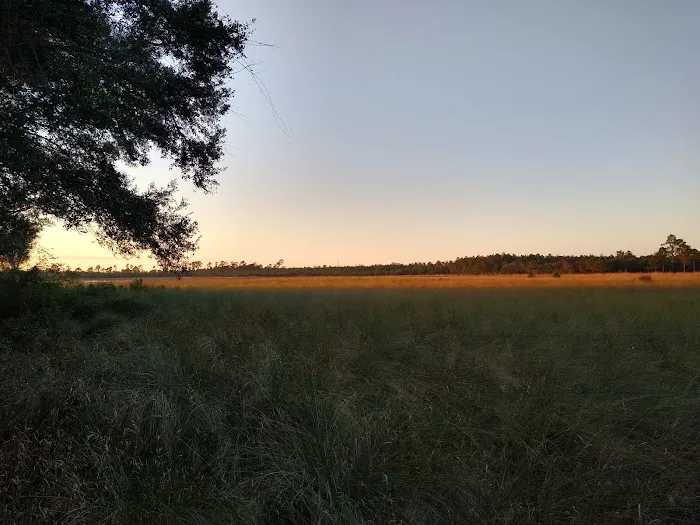 Hopkins Prairie Campground Picture 5