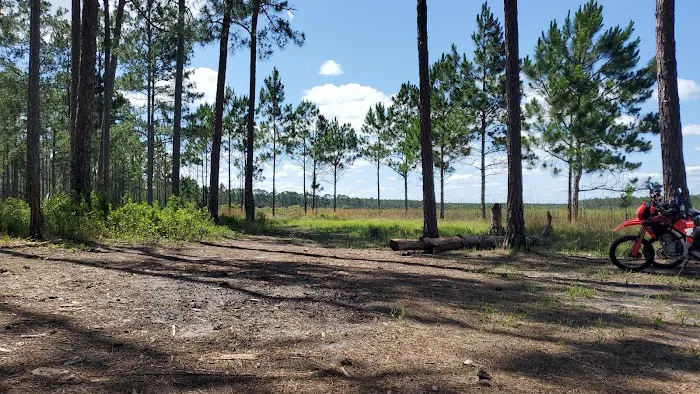 Hopkins Prairie Campground Picture 8