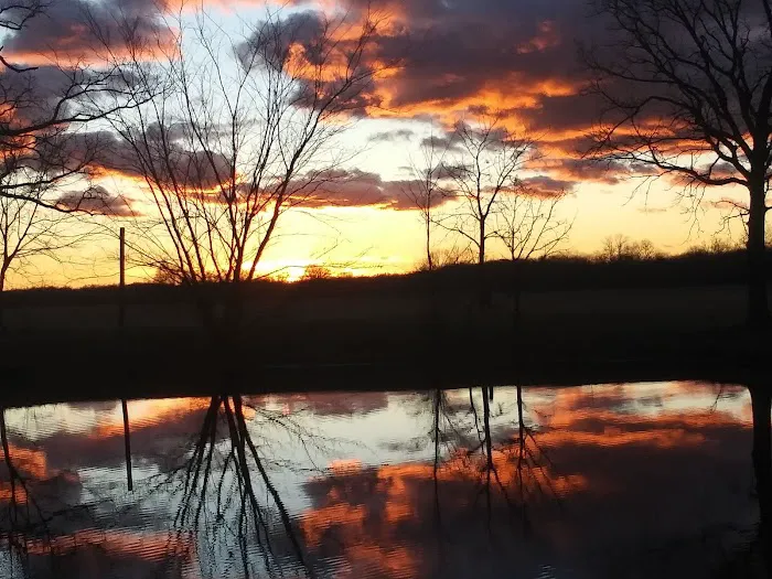 3 Mile RV Park Picture 2