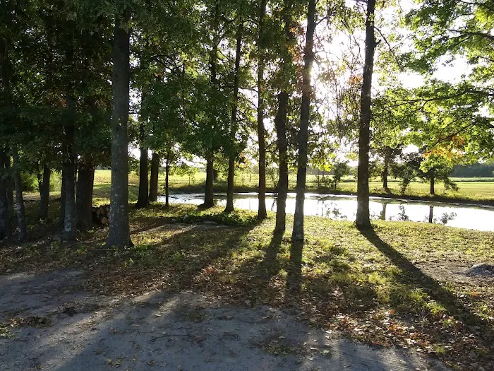 3 Mile RV Park Picture 7