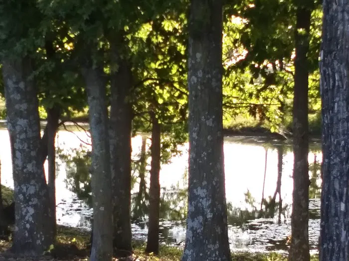 3 Mile RV Park Picture 4