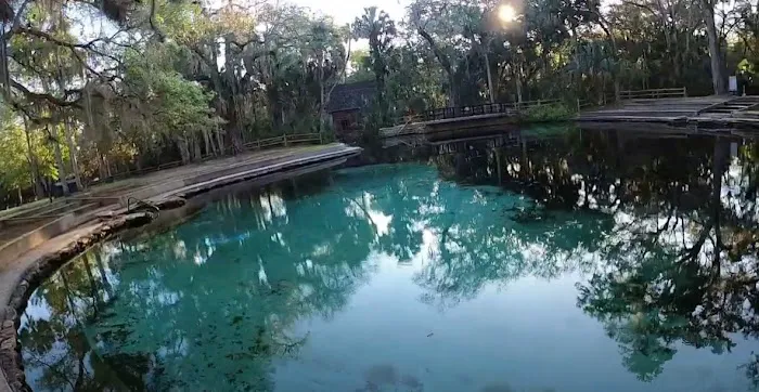 Juniper Springs Campground Picture 1