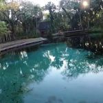 Juniper Springs Campground