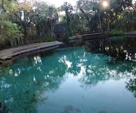 Juniper Springs Campground