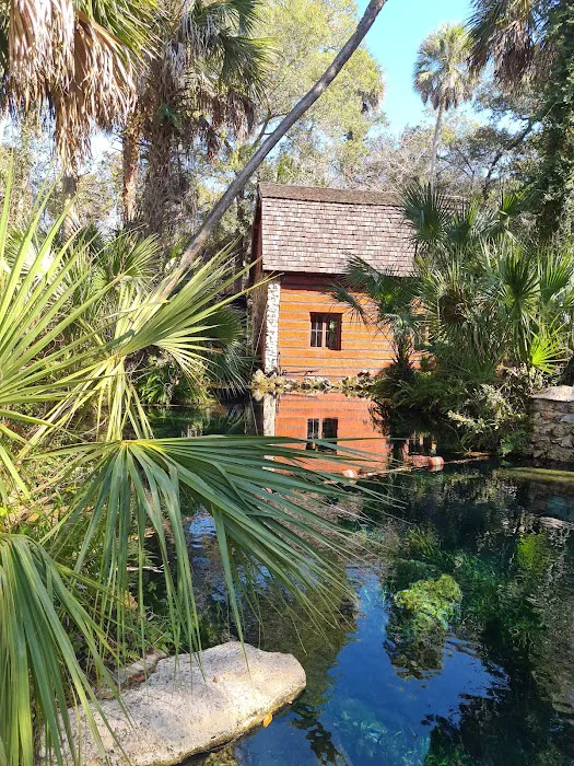 Juniper Springs Campground Picture 9