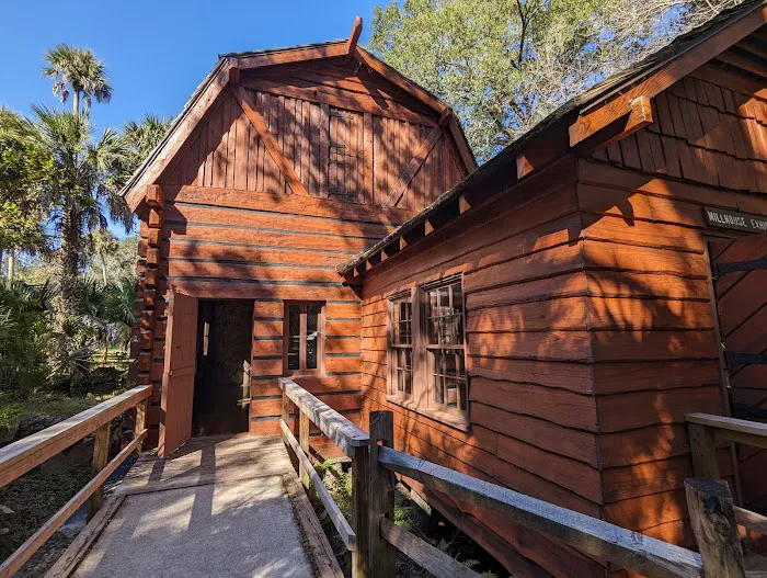 Juniper Springs Campground Picture 3