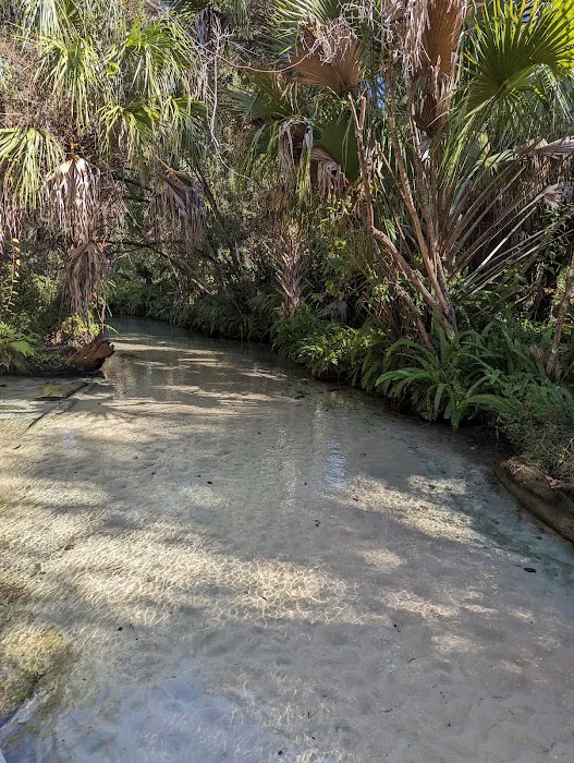 Juniper Springs Campground Picture 4