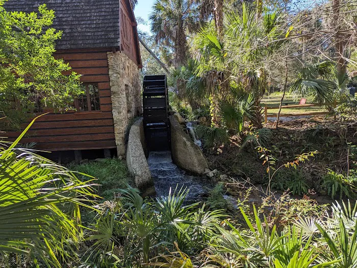 Juniper Springs Campground Picture 8