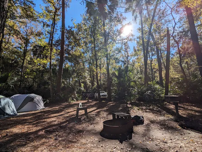 Juniper Springs Campground Picture 7
