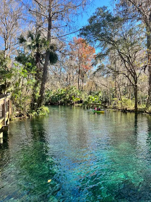 Silver Springs State Park Campground Picture 10
