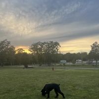 Lewis RV Park ico