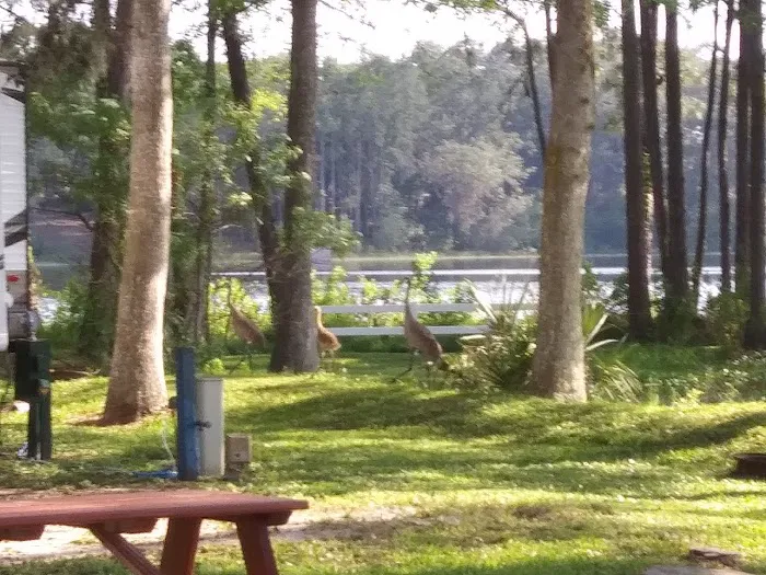 Lake Waldena Resort Picture 7
