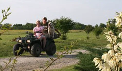 Meadow Park Picture 5