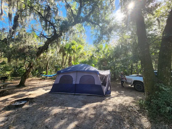 Matanzas State Forest Cedar Creek Campground Picture 8