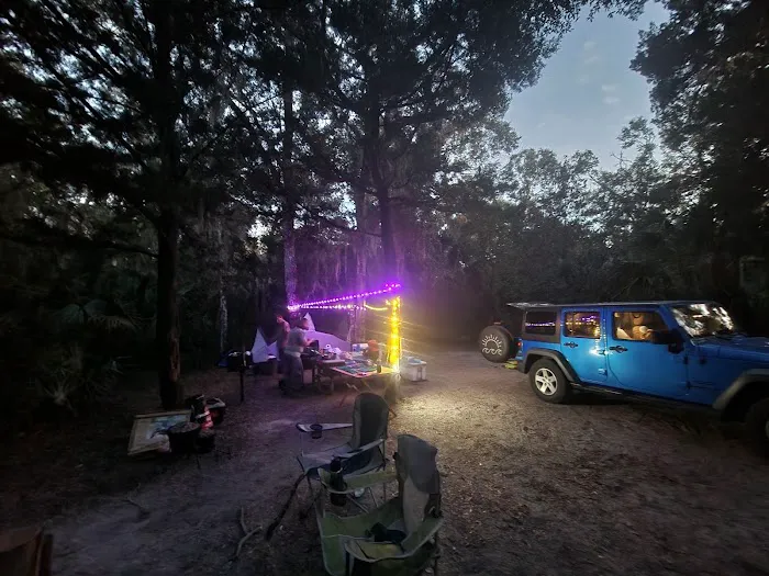 Matanzas State Forest Cedar Creek Campground Picture 2