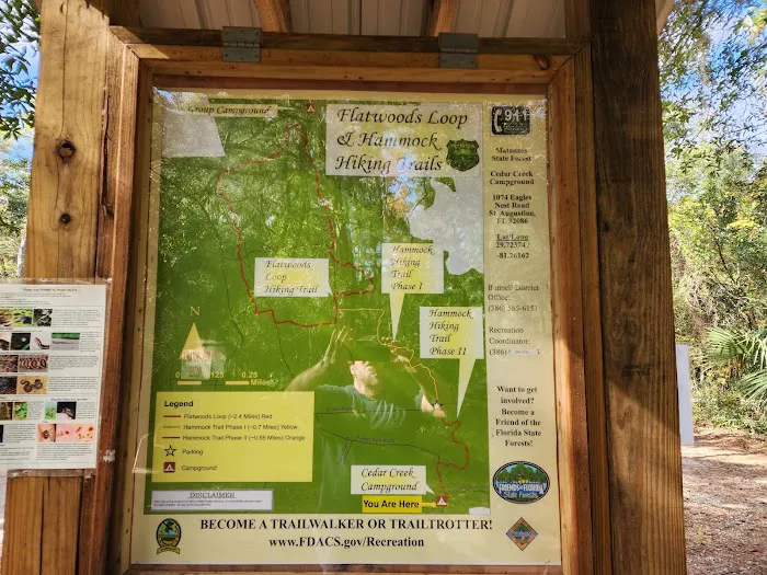 Matanzas State Forest Cedar Creek Campground Picture 1