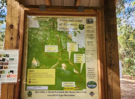 Matanzas State Forest Cedar Creek Campground