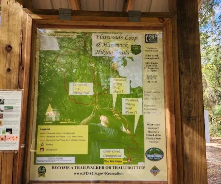 Matanzas State Forest Cedar Creek Campground