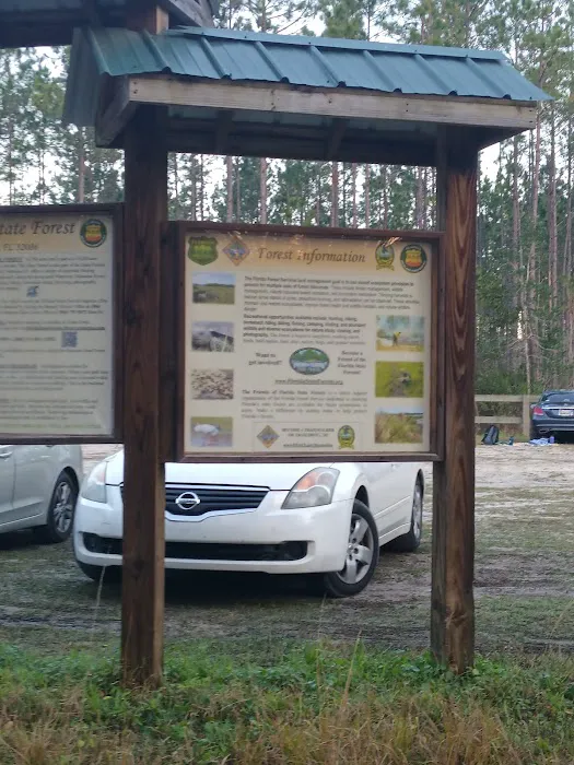 Matanzas State Forest Cedar Creek Campground Picture 6