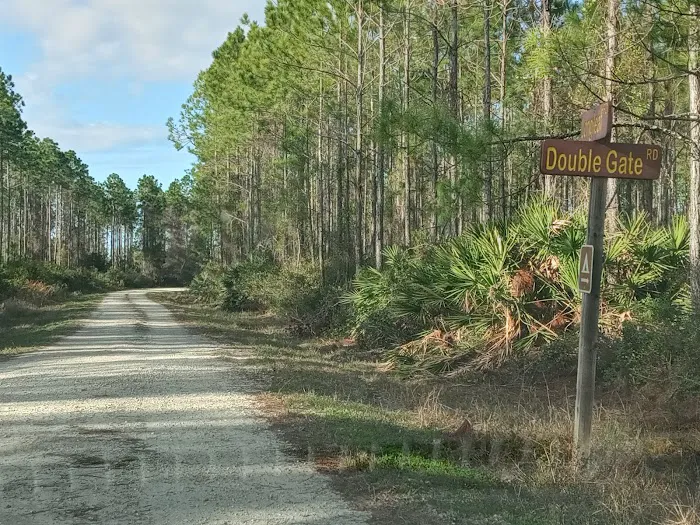 Matanzas State Forest Cedar Creek Campground Picture 7