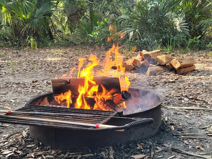 Matanzas State Forest Cedar Creek Campground Picture 10