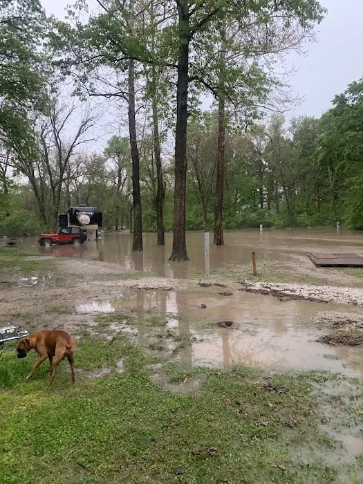 Red Bird RV Park Picture 2