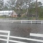 Thunder Gulch