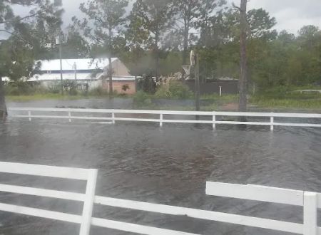 Thunder Gulch