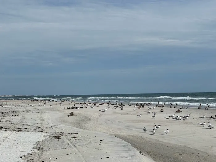 Anastasia State Park Coquina Loop Picture 10