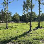 The Winding Woods RV Park
