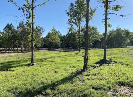 The Winding Woods RV Park
