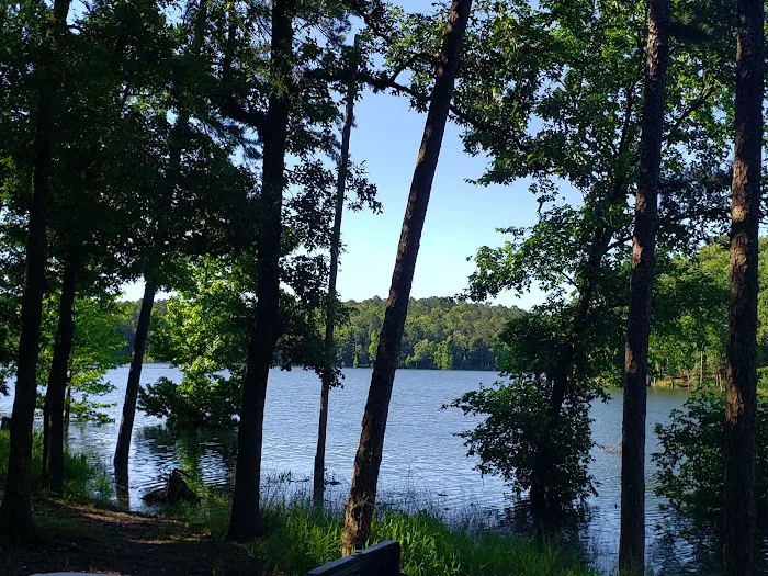 Carson Creek Area RV parking Picture 7