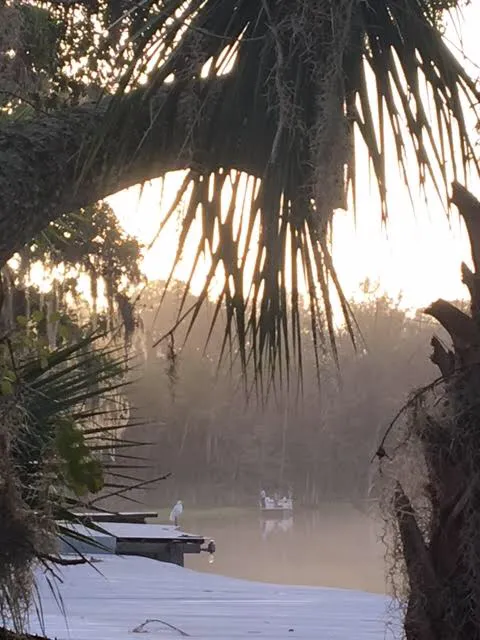 Parramore's Campground Picture 9