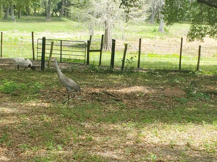 Wildwood Campground Picture 9