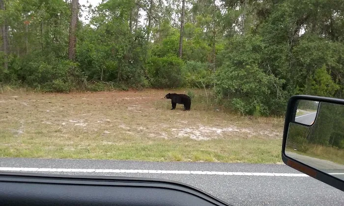 Wildwood Campground Picture 1