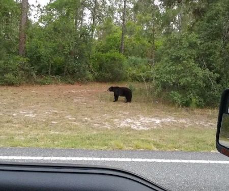 Wildwood Campground