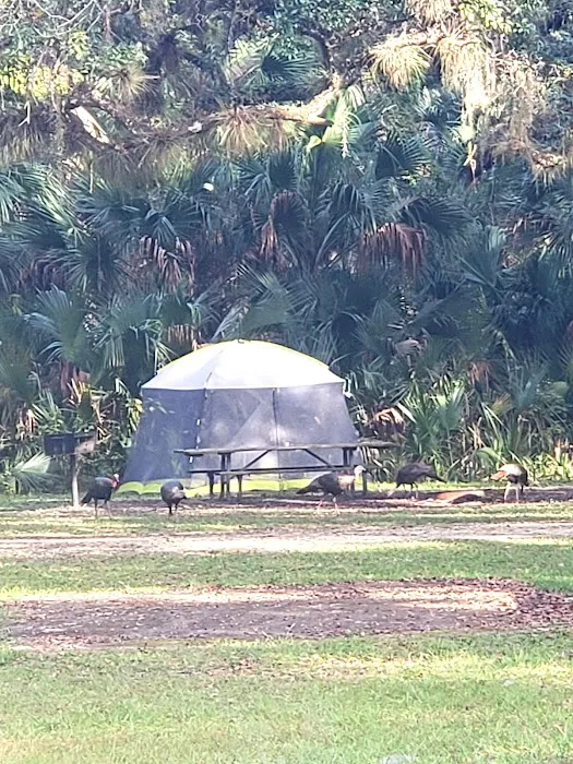River Road Campground Picture 3