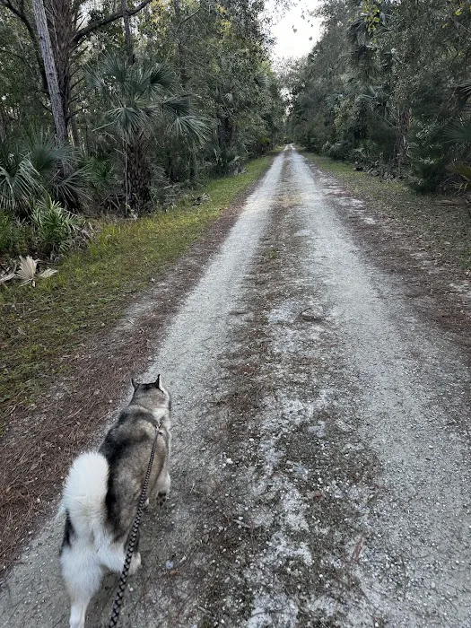 River Road Campground Picture 4