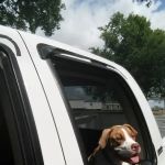Mountain View Mobile Home Park