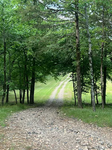 Mena Creekside RV Park Picture 10