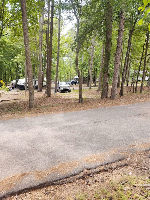 Goat Island RV Park & Camp Picture 6