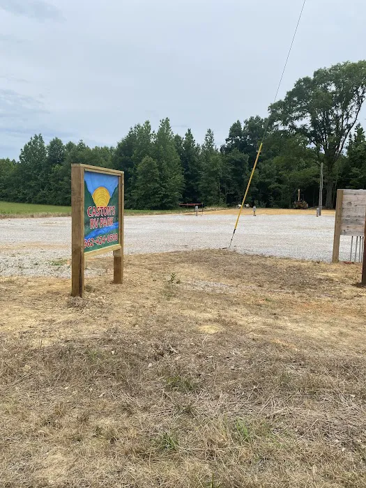 Caston's RV Park Picture 2