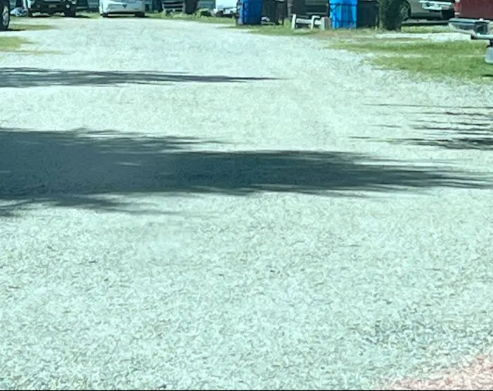 Kings Bay Picture 6