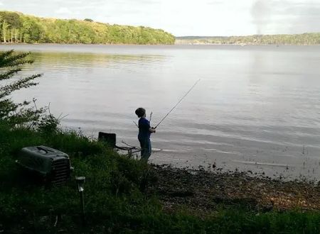 TVA Phillips Hill Campground