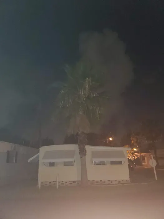 Palm Grove Village Picture 4