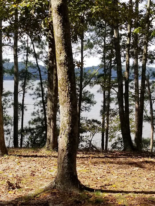Colbert County Rose Trail Park Picture 7
