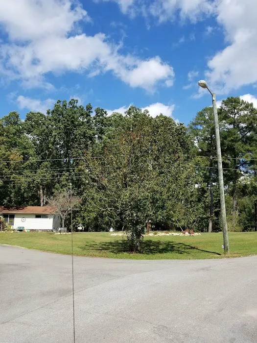 Colbert County Rose Trail Park Picture 2